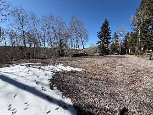 1255 Spruce Road Cimarron, CO 81220 - Photo 6 of 17 a view of a backyard of the house