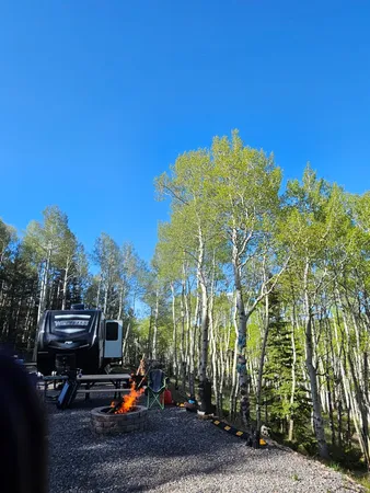 $114,950 | 1255 Spruce Road, Cimarron, CO 81220