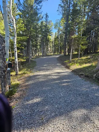 $114,950 | 1255 Spruce Road, Cimarron, CO 81220