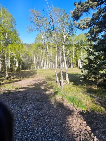 $114,950 | 1255 Spruce Road, Cimarron, CO 81220