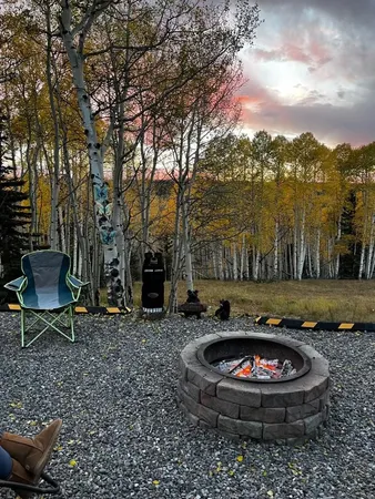 $114,950 | 1255 Spruce Road, Cimarron, CO 81220