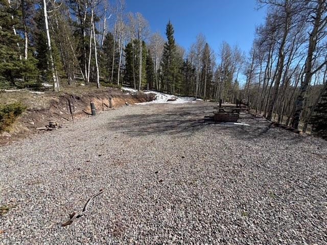 1255 Spruce Road Cimarron, CO 81220 - Photo 9 of 17 a view of a yard with trees