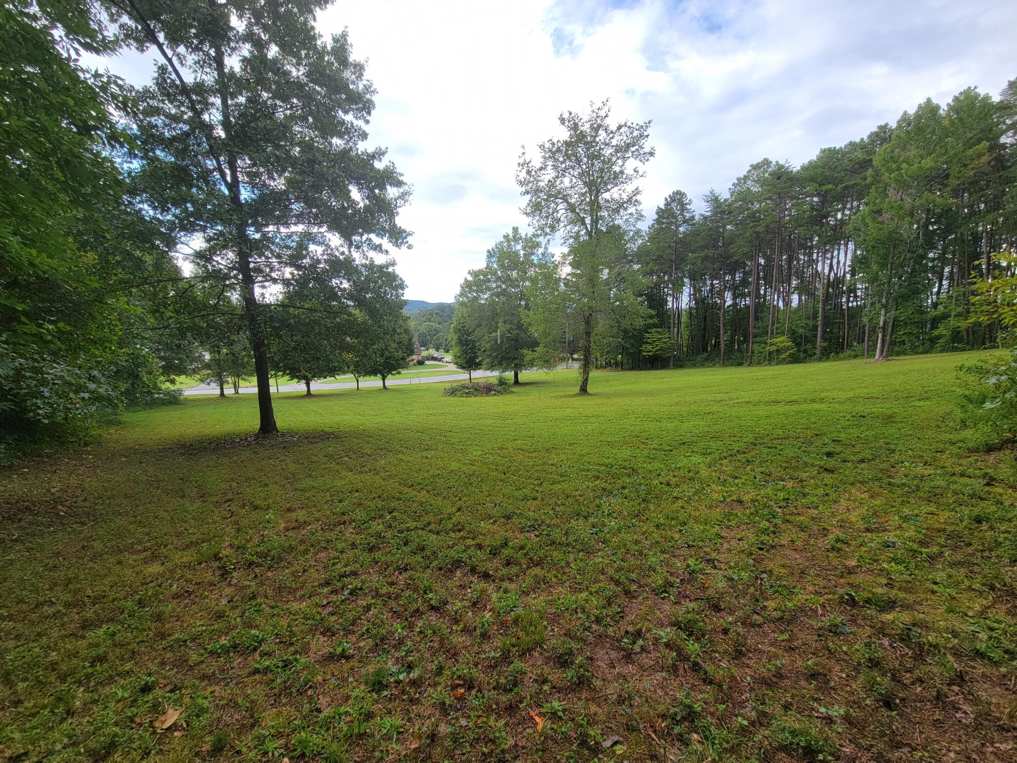 0 Northwest Candies Creek Ridge Road Charleston, TN 37310 - Photo 11 of 12 Gallery Image 11