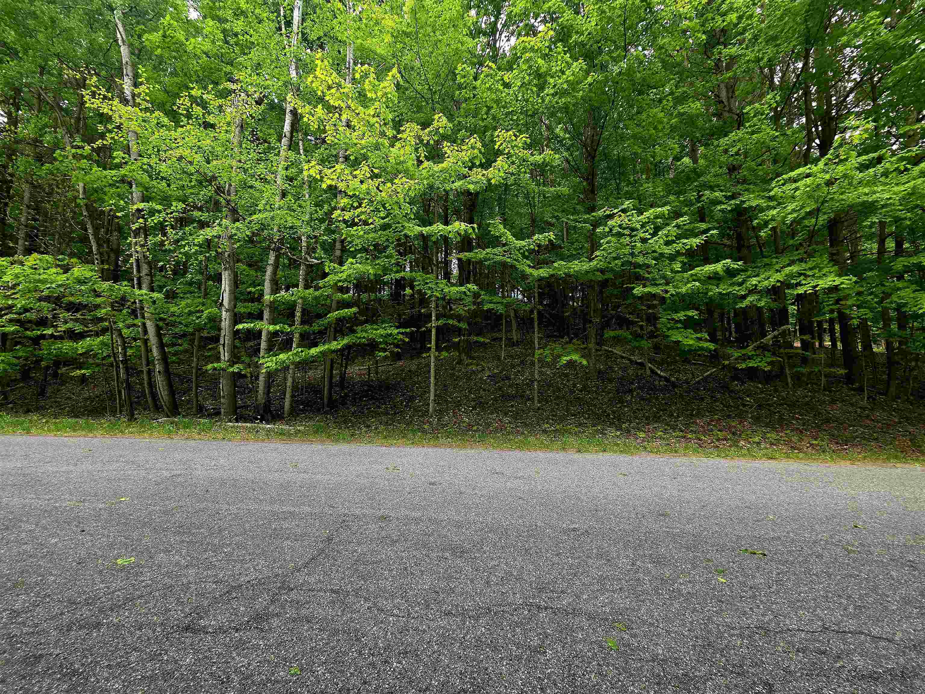 0 Sugarbush Road Kewadin, MI 49648 - Photo 5 of 19