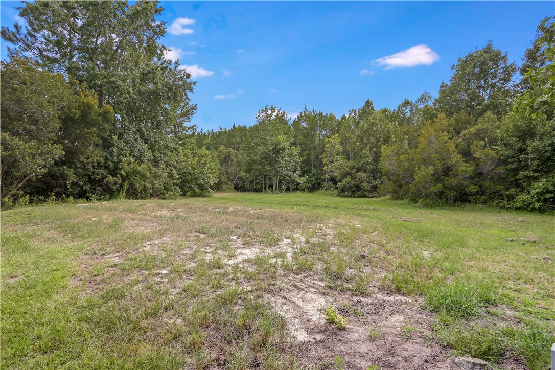 96921 Blackrock Road Yulee, FL 32097 - Photo 25 of 34 a view of a field with trees in the background