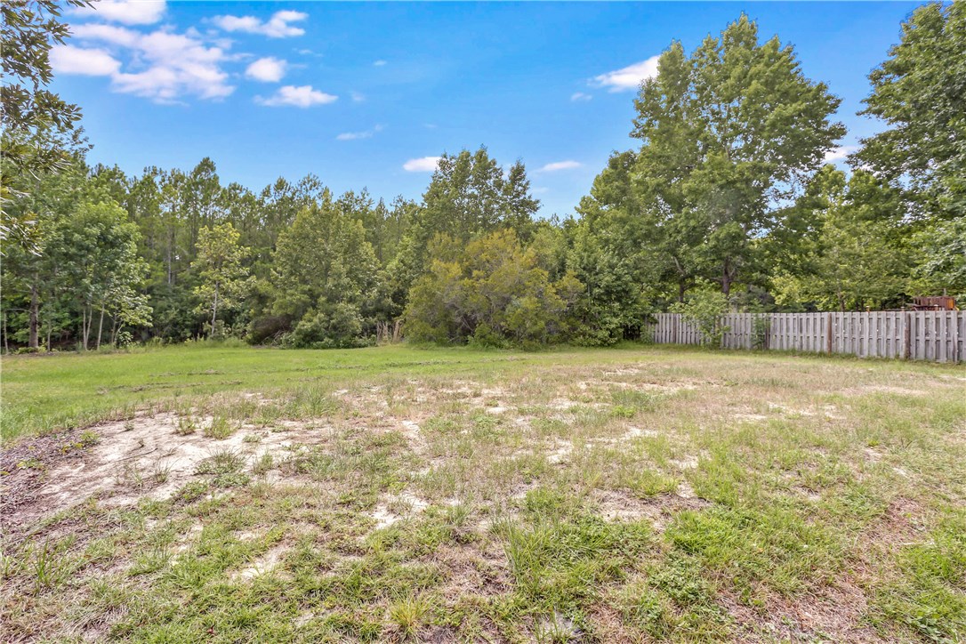 96921 Blackrock Road Yulee, FL 32097 - Photo 26 of 34 a view of a yard with a tree