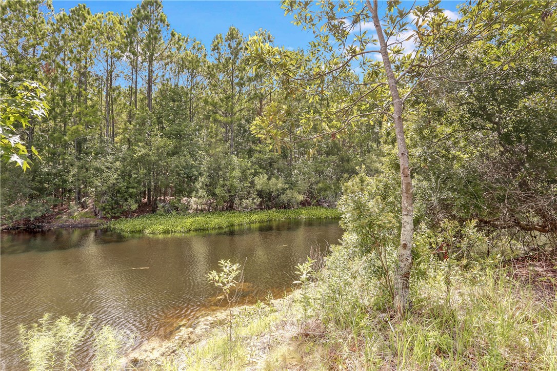 96921 Blackrock Road Yulee, FL 32097 - Photo 29 of 34 a view of lake