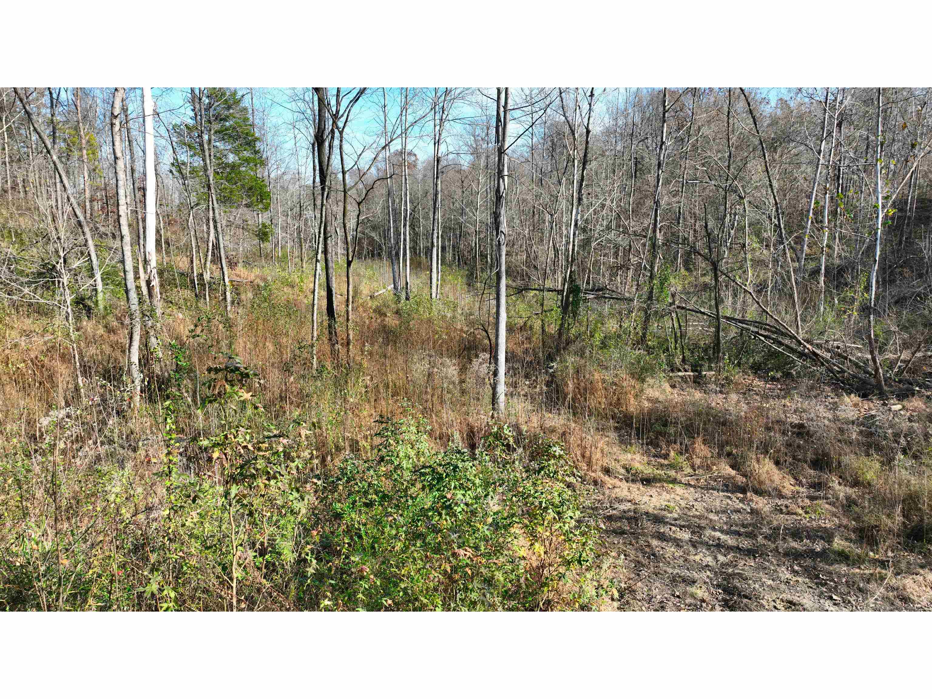 Munford Giltedge Road Burlison, TN 38015 - Photo 10 of 16