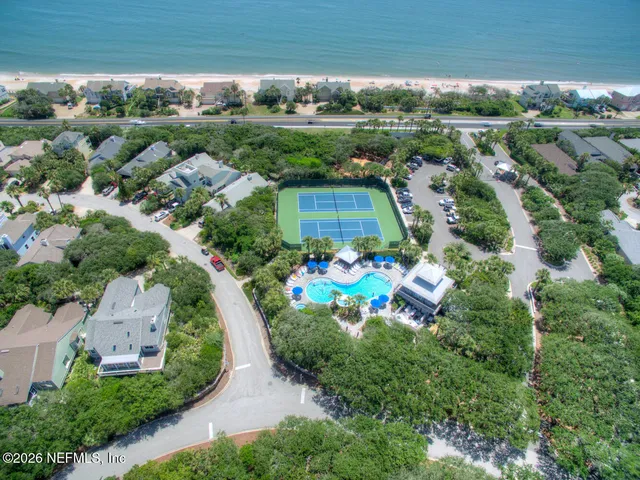 a view of a back yard with flower plants and palm trees