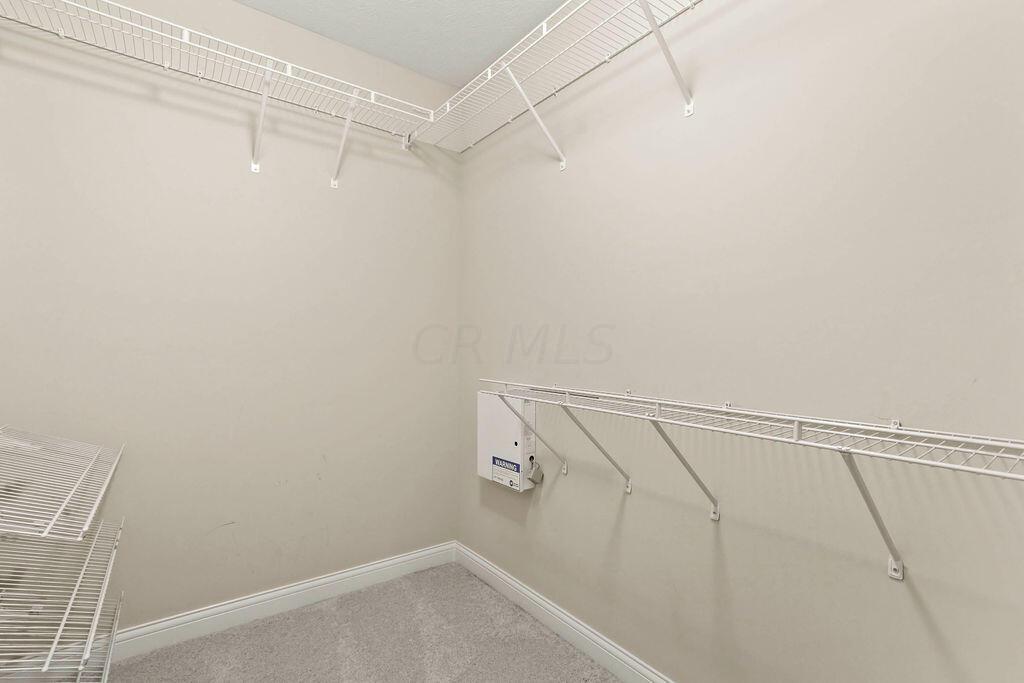6163 Jennis Road Westerville, OH 43081 - Photo 19 of 44 • Light sand carpet
• Tan painted walls
• Ventilated shelving
• Ceiling light