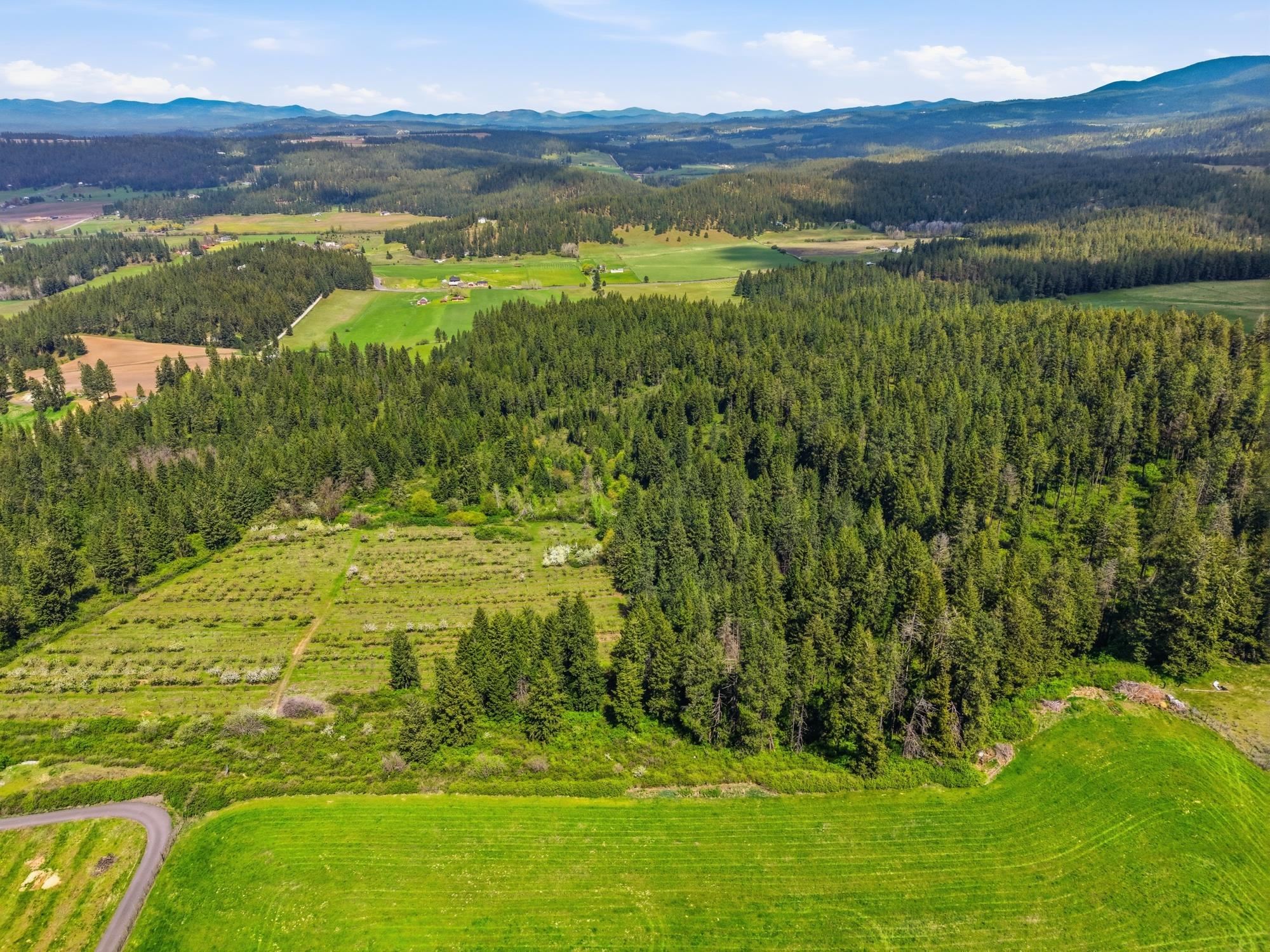 Xxxx East Woolard Road Colbert, WA 99005 - Photo 11 of 27