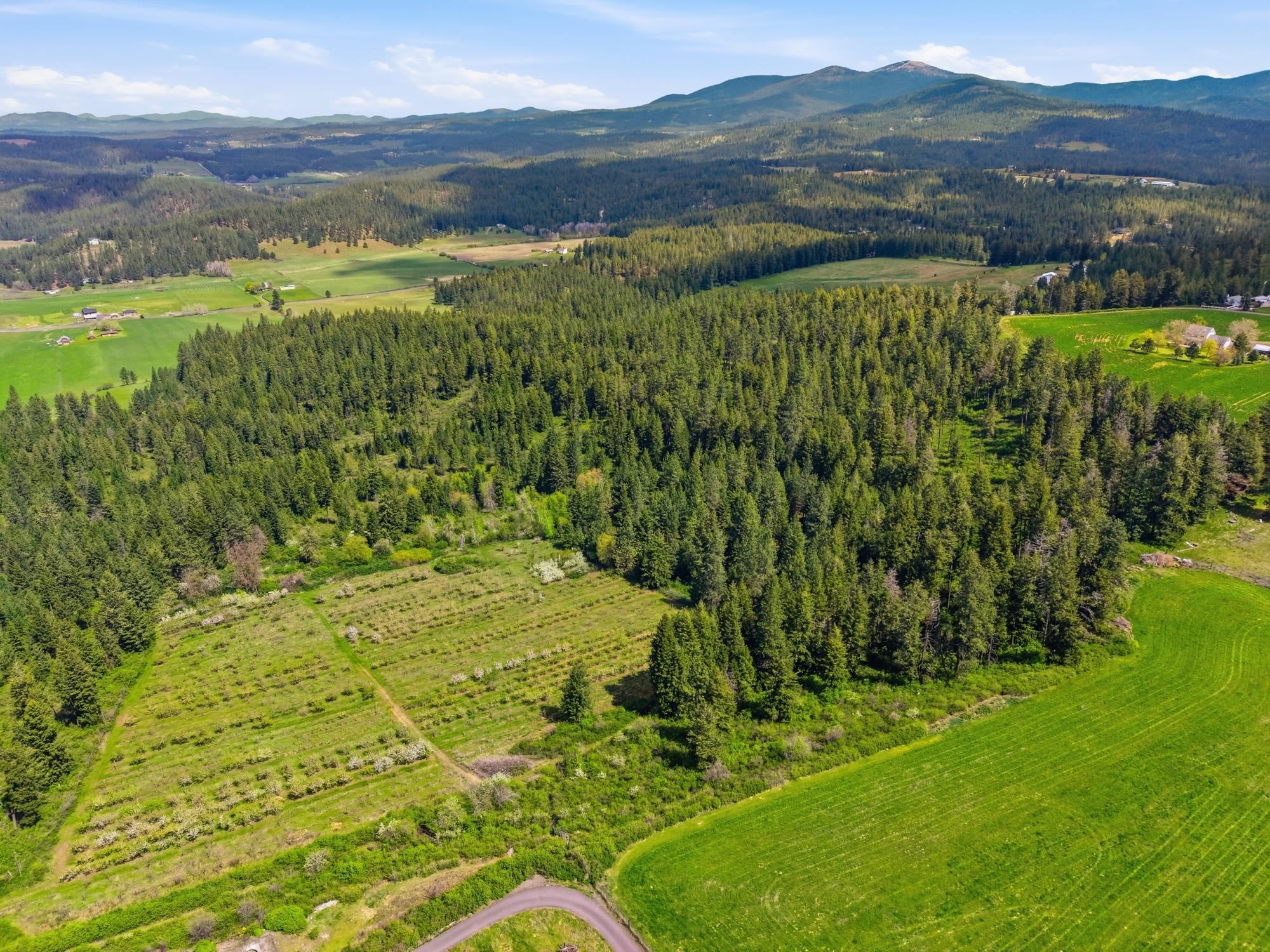 Xxxx East Woolard Road Colbert, WA 99005 - Photo 13 of 27