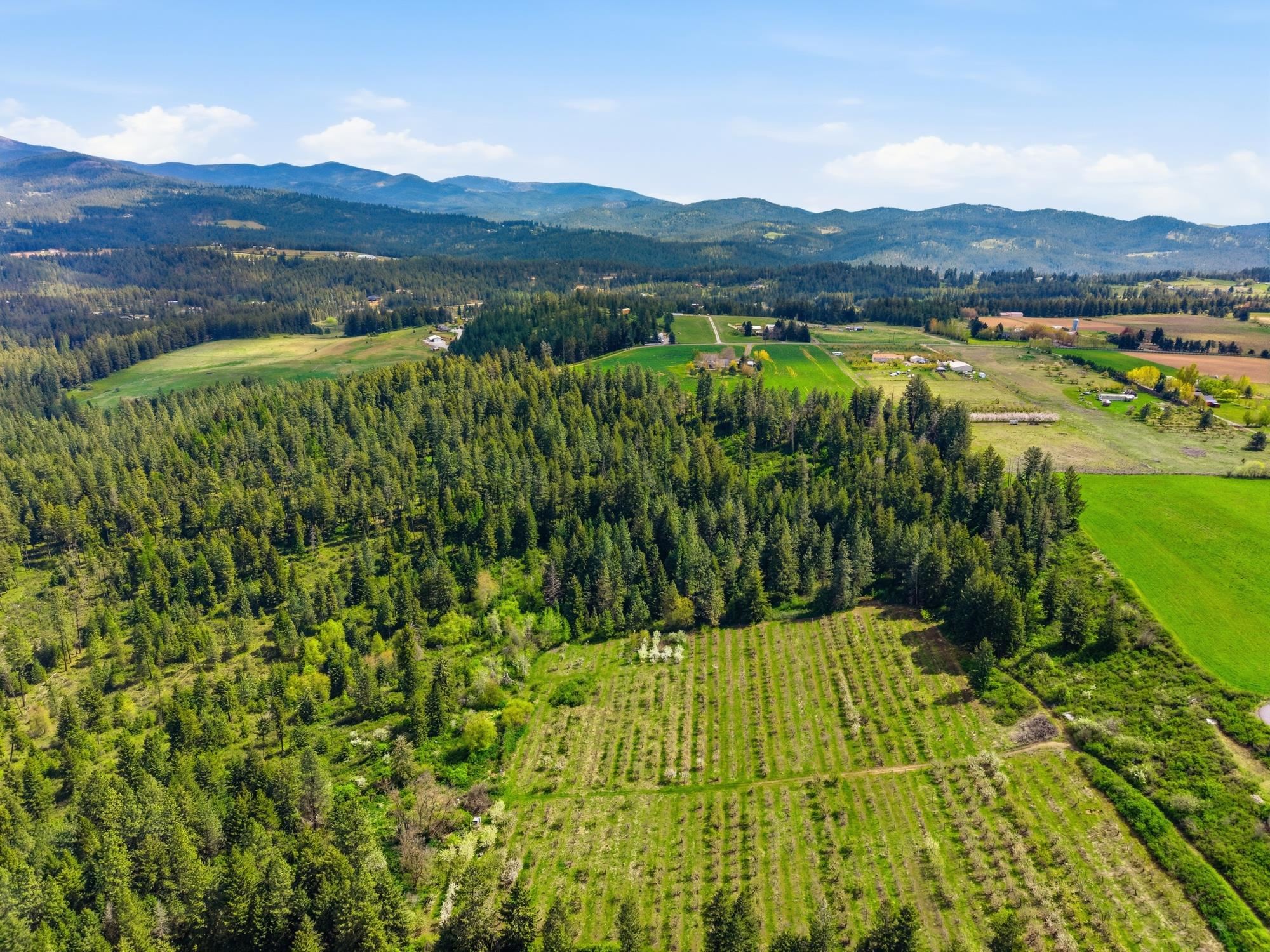 Xxxx East Woolard Road Colbert, WA 99005 - Photo 14 of 27