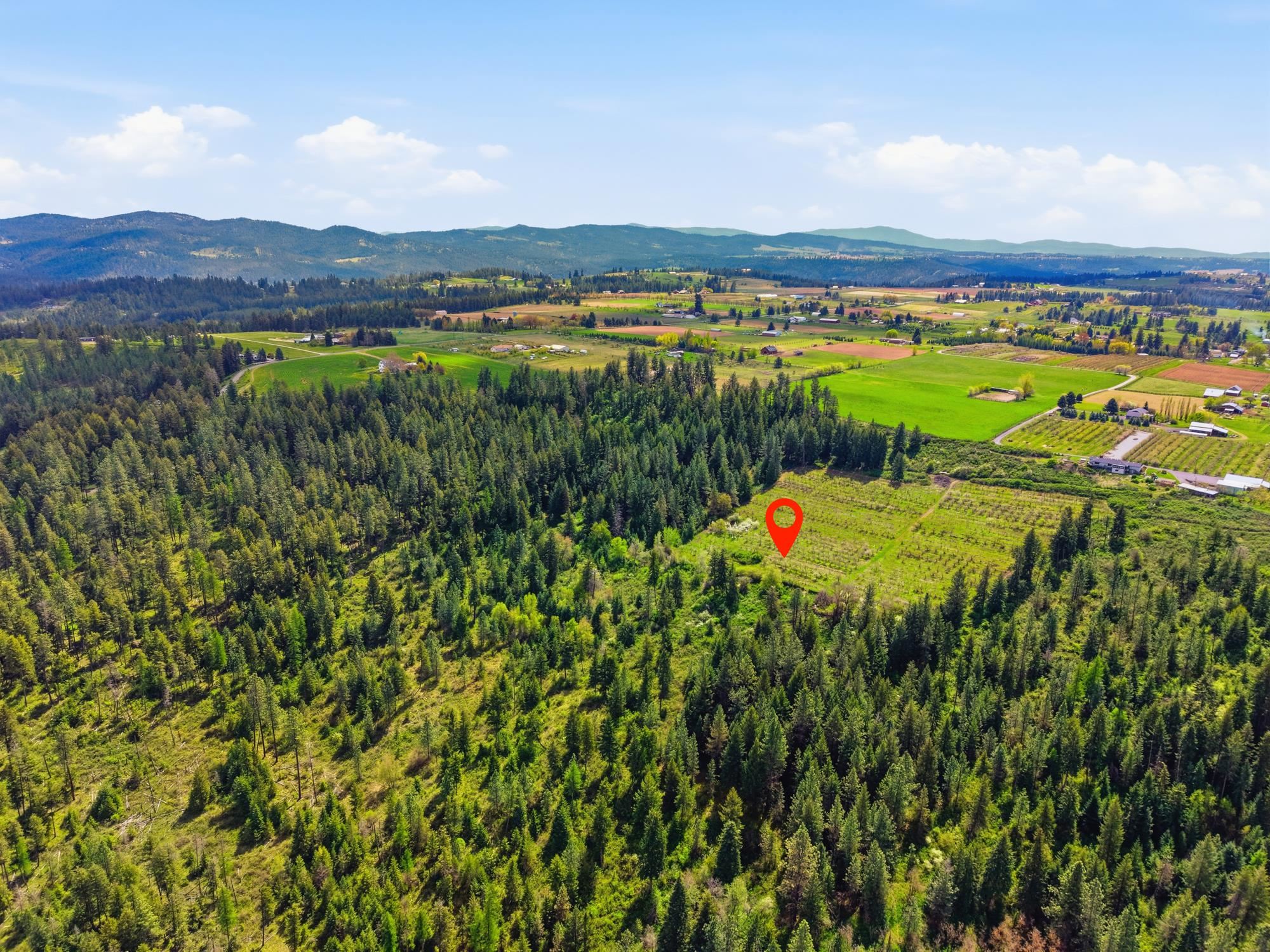 Xxxx East Woolard Road Colbert, WA 99005 - Photo 15 of 27