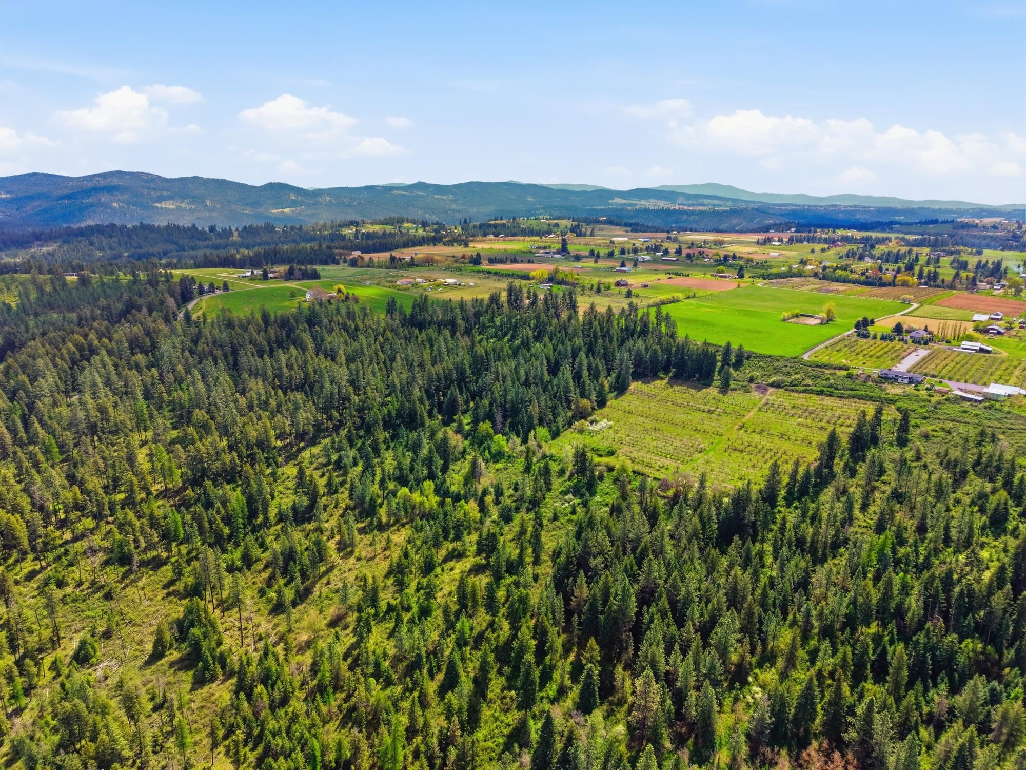 Xxxx East Woolard Road Colbert, WA 99005 - Photo 16 of 27