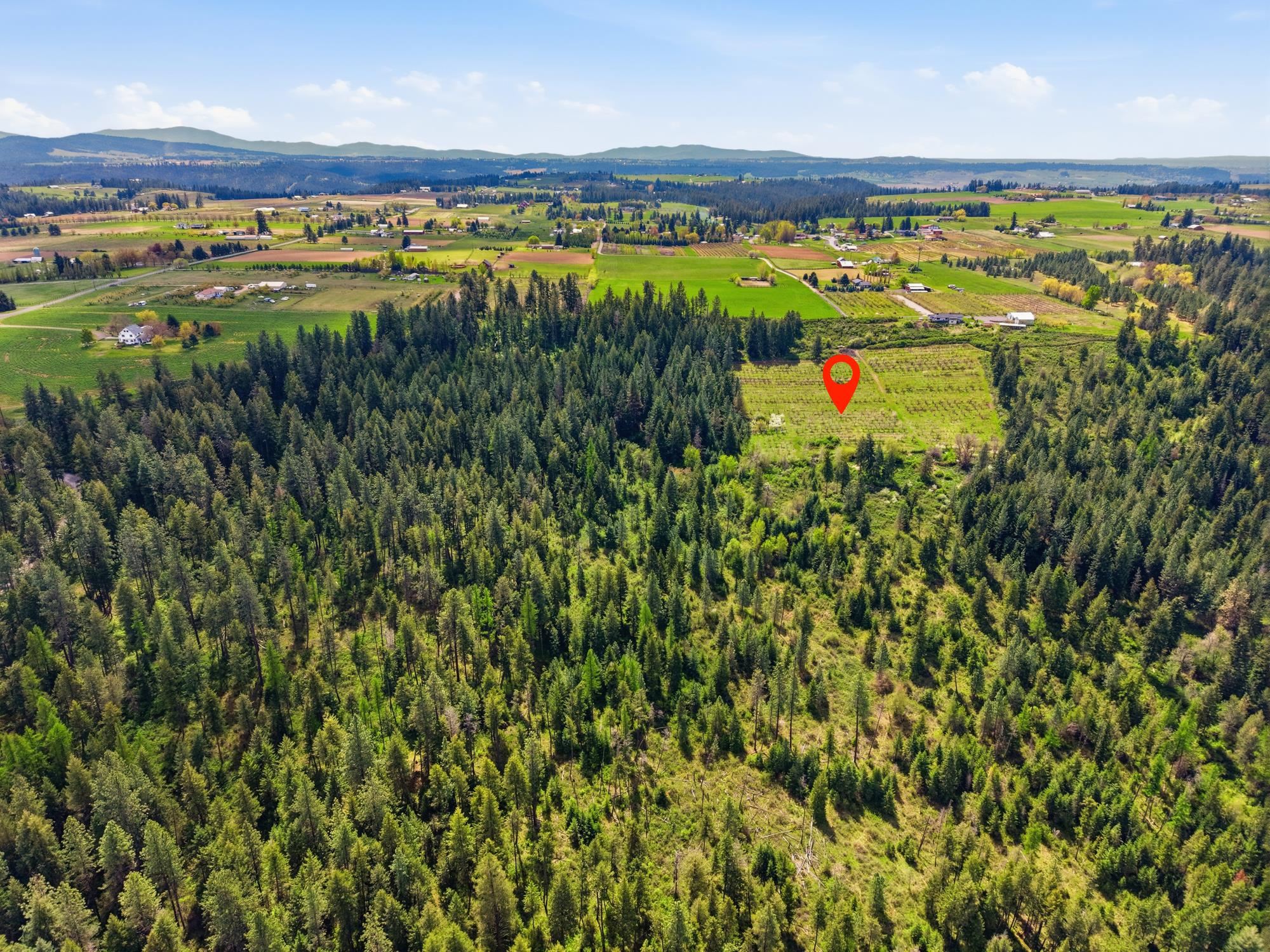 Xxxx East Woolard Road Colbert, WA 99005 - Photo 17 of 27