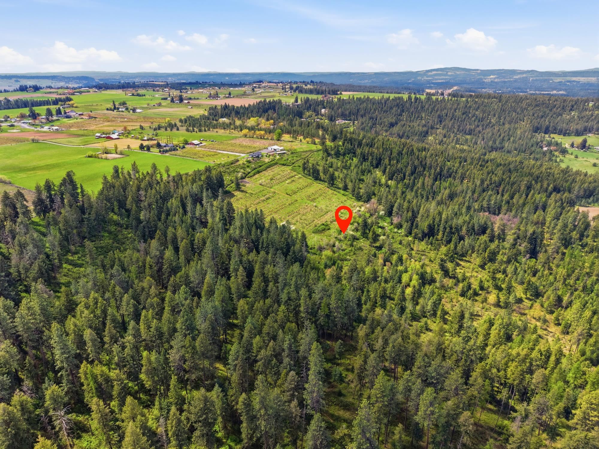 Xxxx East Woolard Road Colbert, WA 99005 - Photo 19 of 27