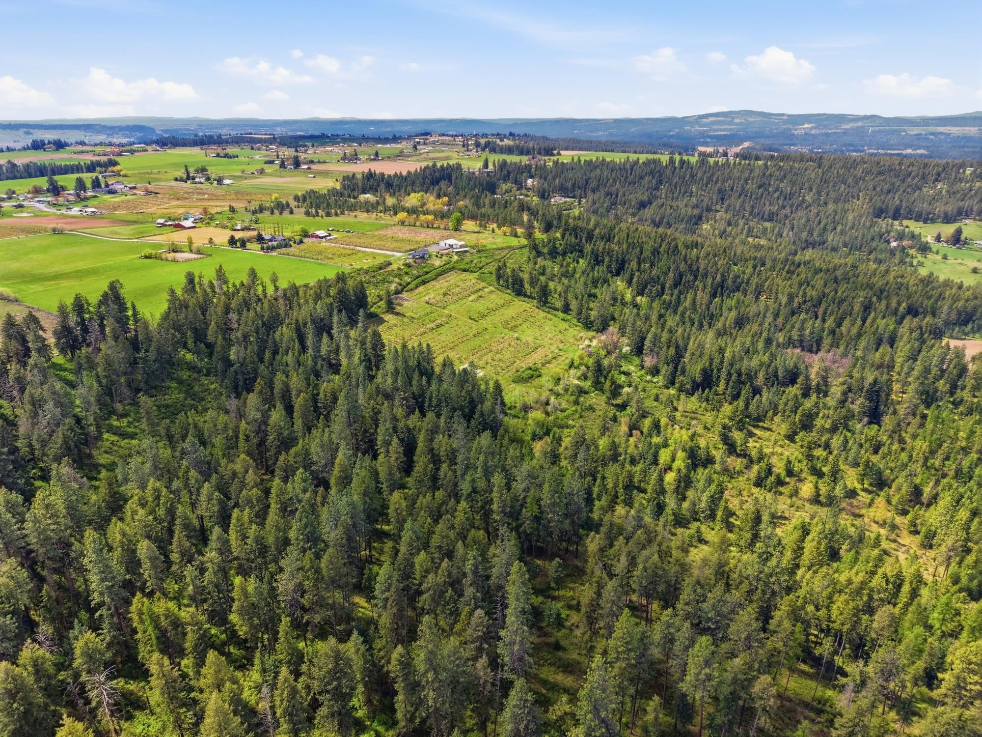 Xxxx East Woolard Road Colbert, WA 99005 - Photo 20 of 27