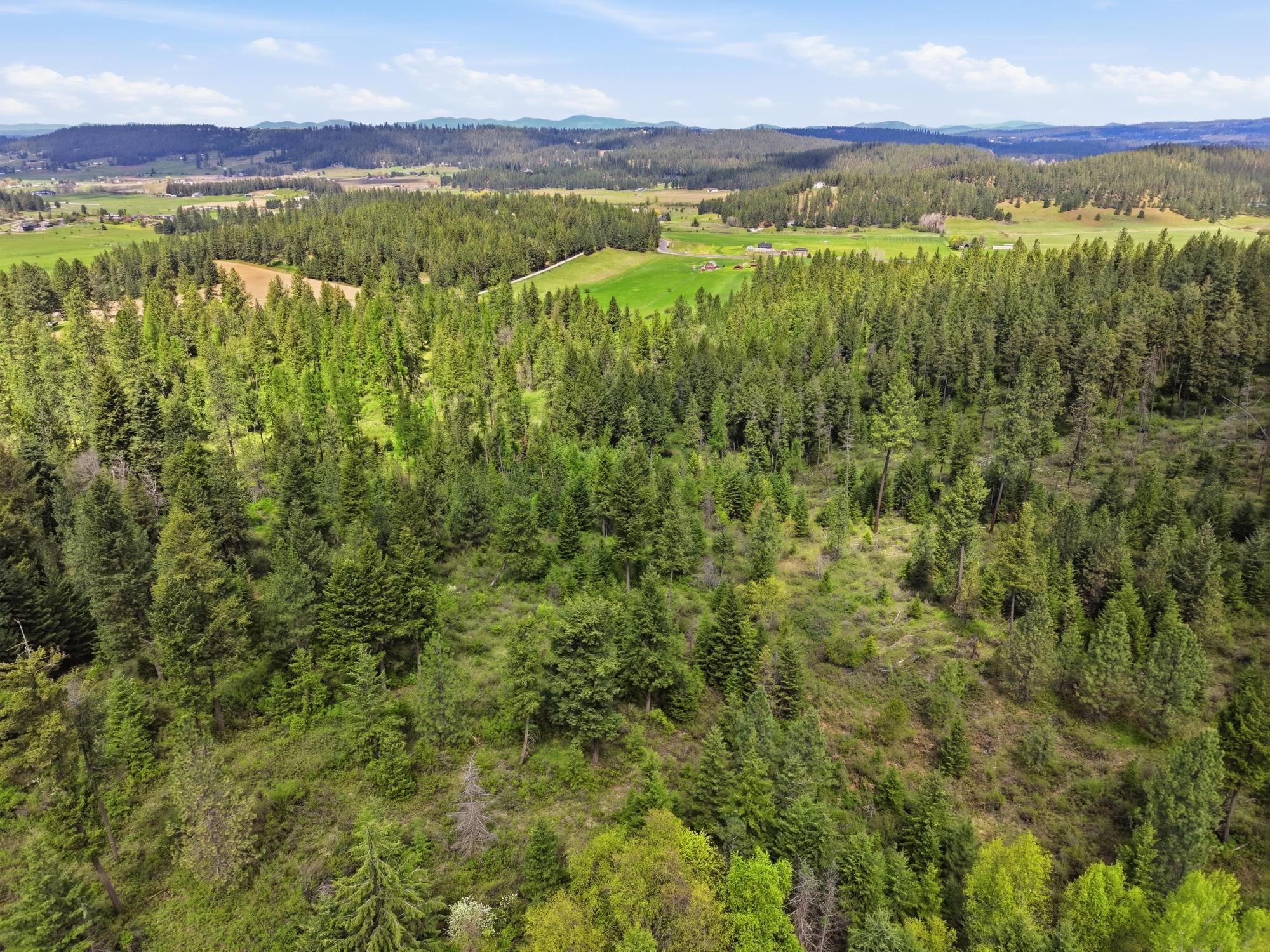 Xxxx East Woolard Road Colbert, WA 99005 - Photo 2 of 27