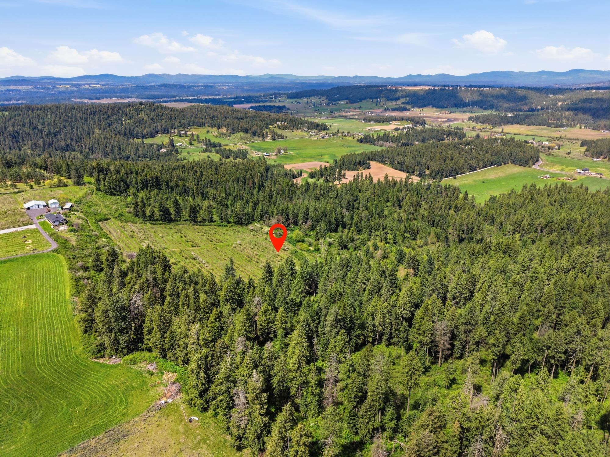 Xxxx East Woolard Road Colbert, WA 99005 - Photo 21 of 27