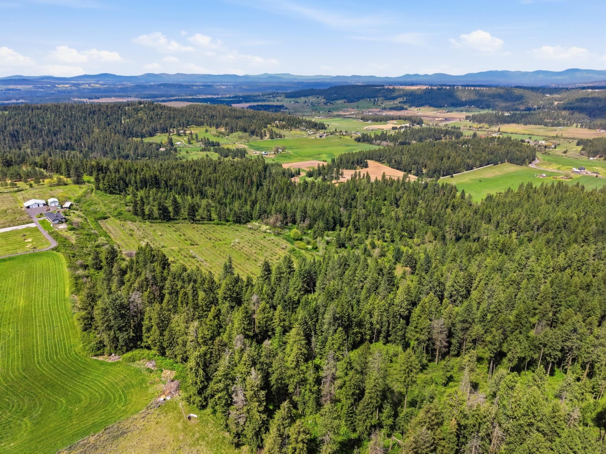 Xxxx East Woolard Road Colbert, WA 99005 - Photo 22 of 27