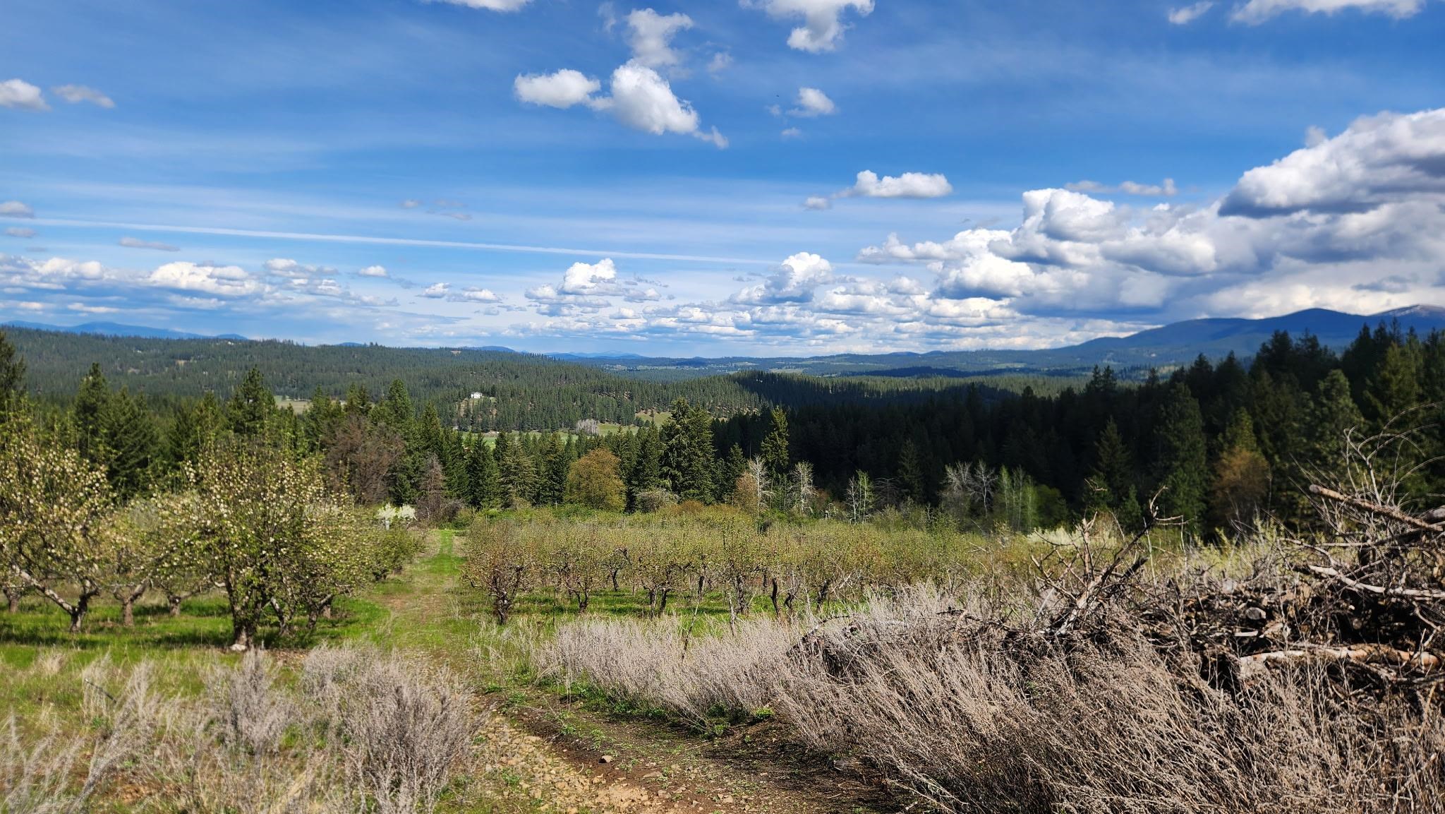 Xxxx East Woolard Road Colbert, WA 99005 - Photo 23 of 27