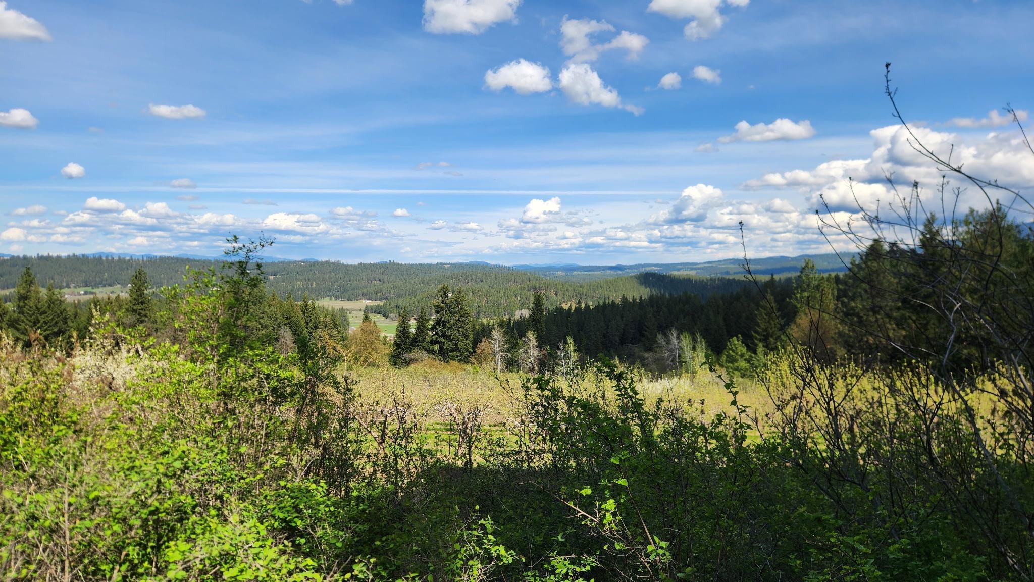 Xxxx East Woolard Road Colbert, WA 99005 - Photo 24 of 27