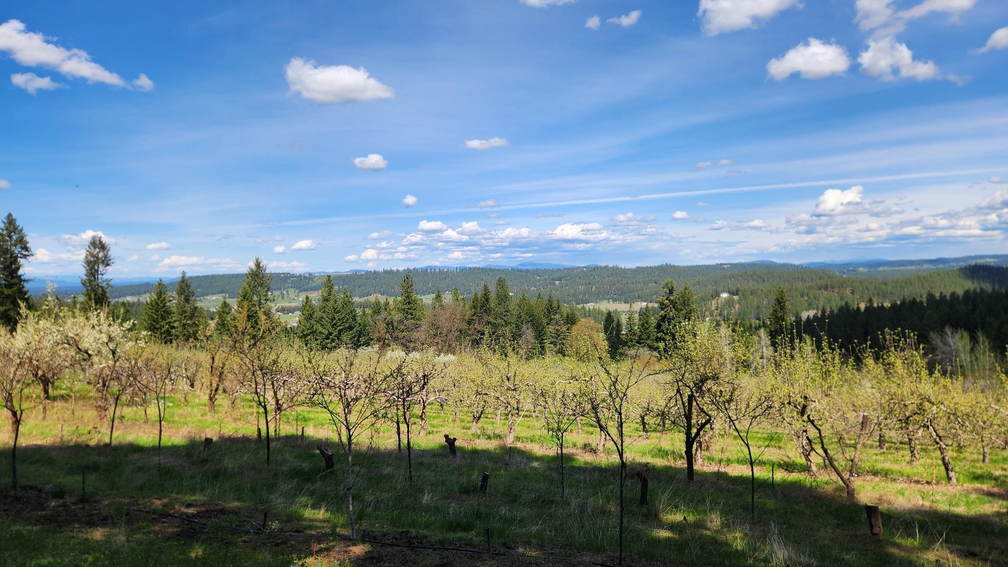 Xxxx East Woolard Road Colbert, WA 99005 - Photo 25 of 27