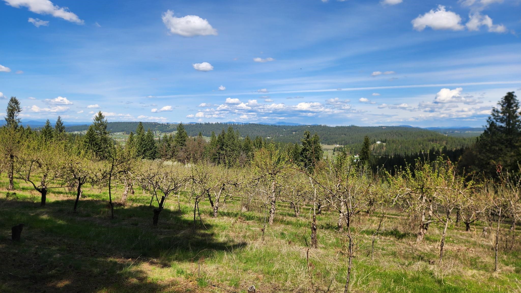 Xxxx East Woolard Road Colbert, WA 99005 - Photo 26 of 27
