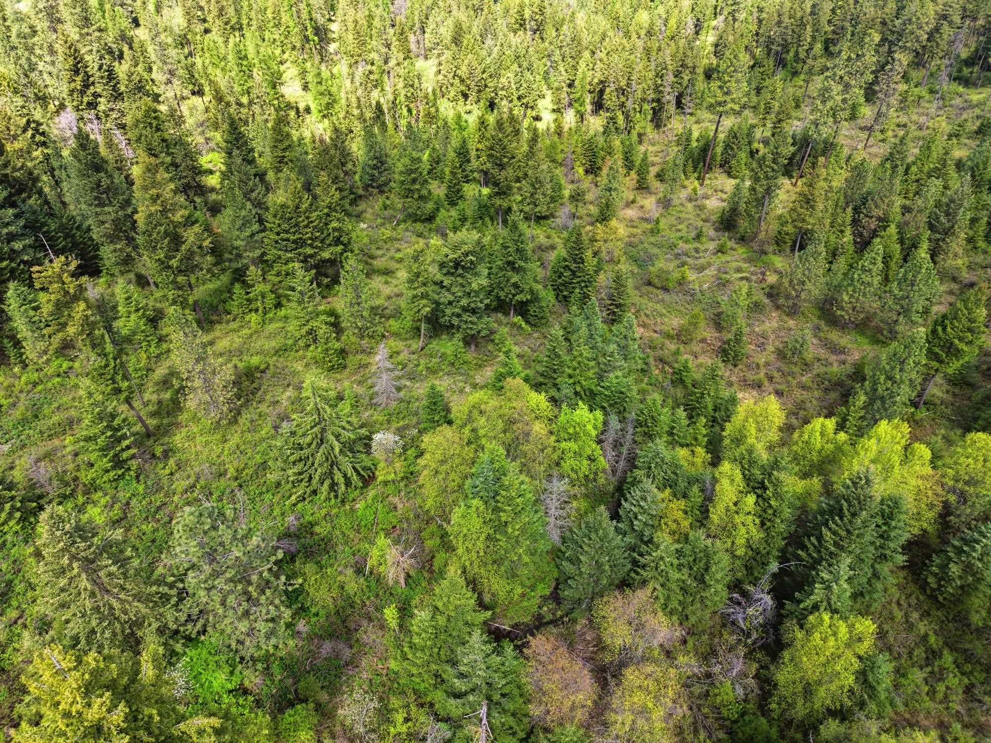 Xxxx East Woolard Road Colbert, WA 99005 - Photo 3 of 27