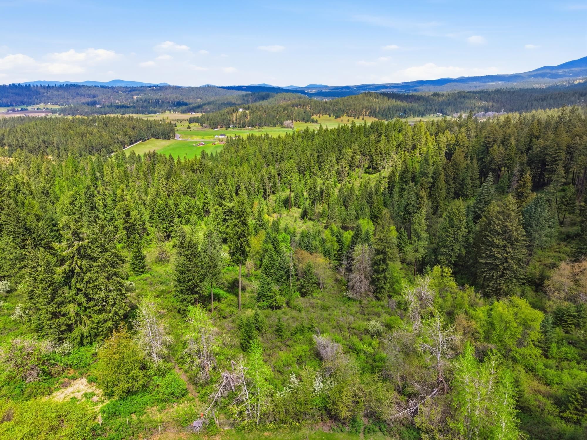 Xxxx East Woolard Road Colbert, WA 99005 - Photo 4 of 27