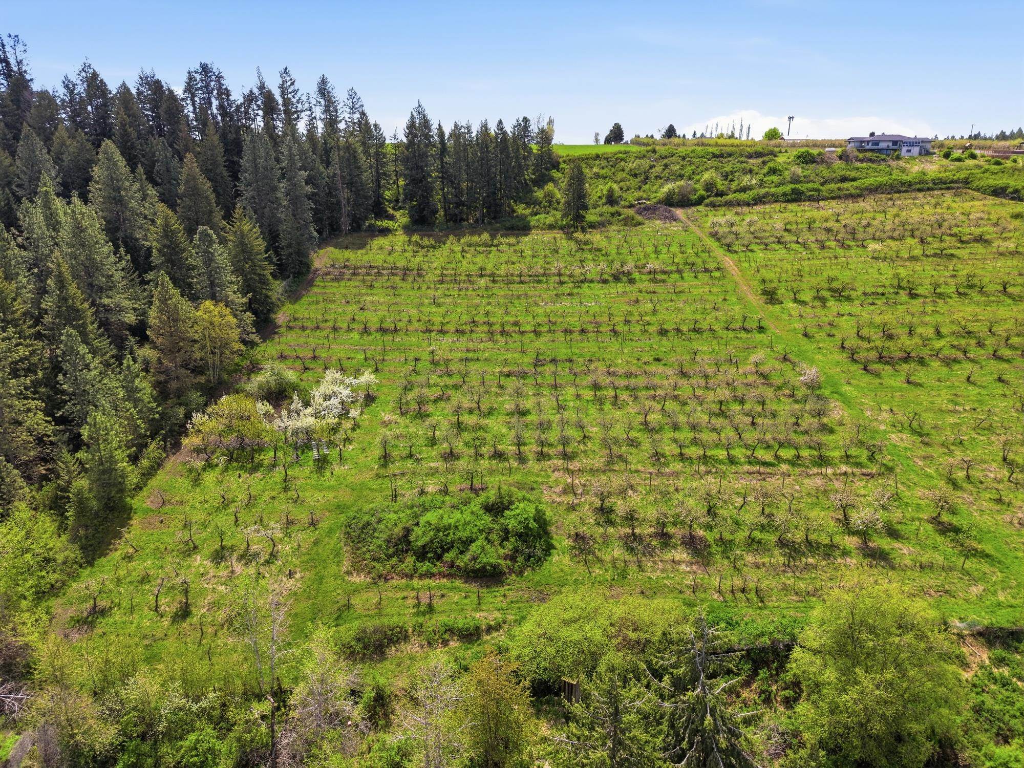 Xxxx East Woolard Road Colbert, WA 99005 - Photo 5 of 27
