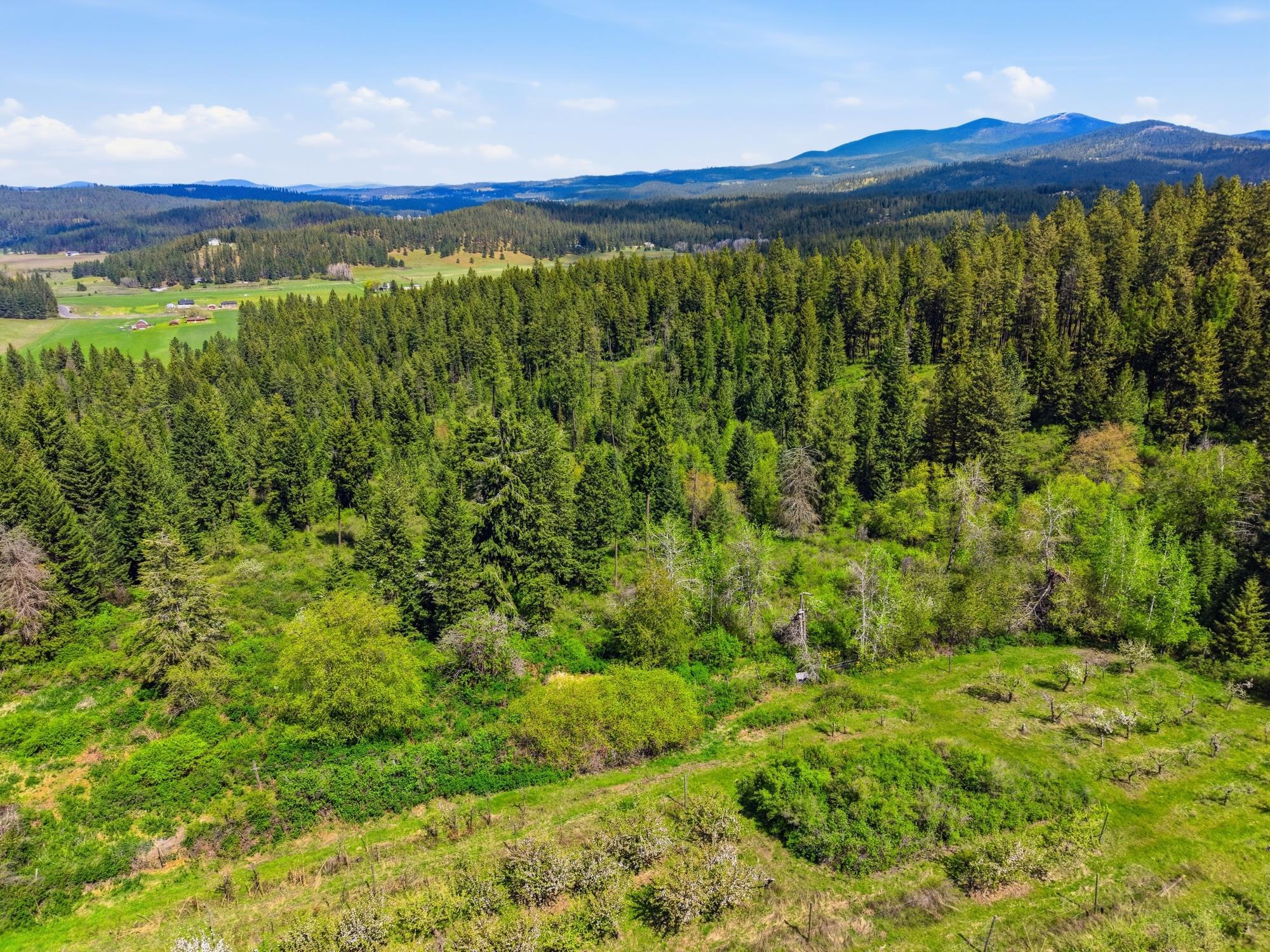 Xxxx East Woolard Road Colbert, WA 99005 - Photo 7 of 27