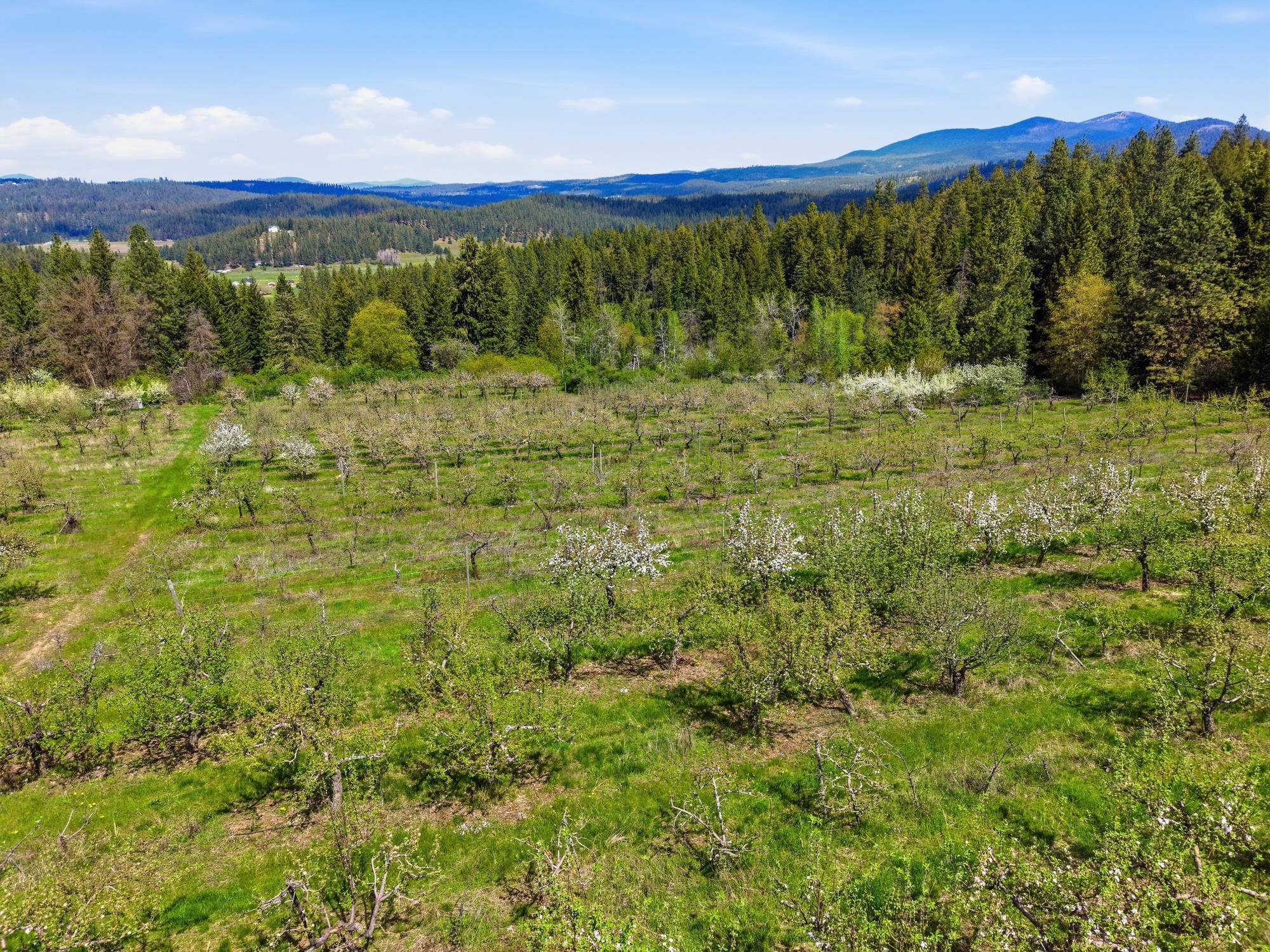 Xxxx East Woolard Road Colbert, WA 99005 - Photo 8 of 27