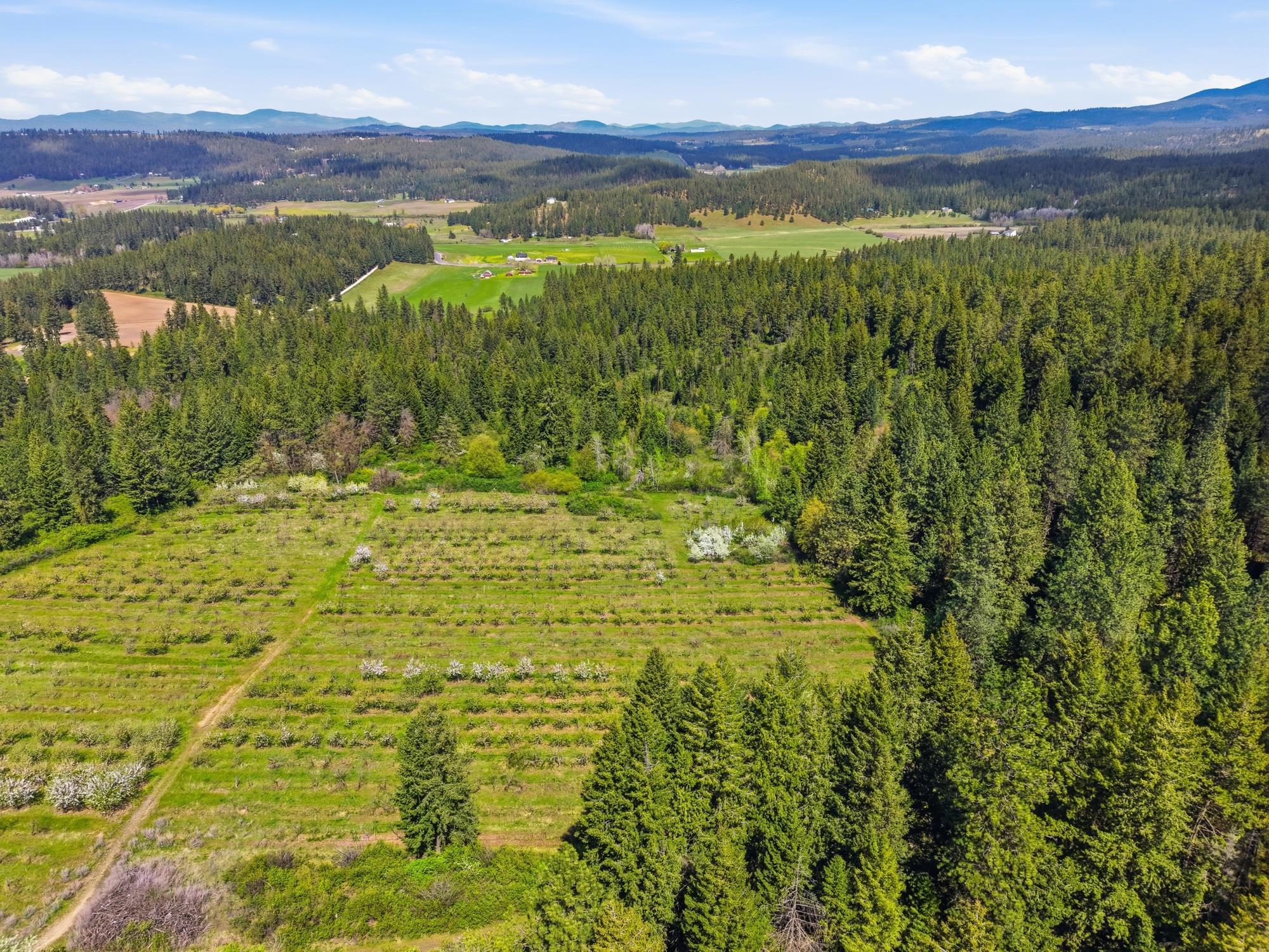 Xxxx East Woolard Road Colbert, WA 99005 - Photo 9 of 27