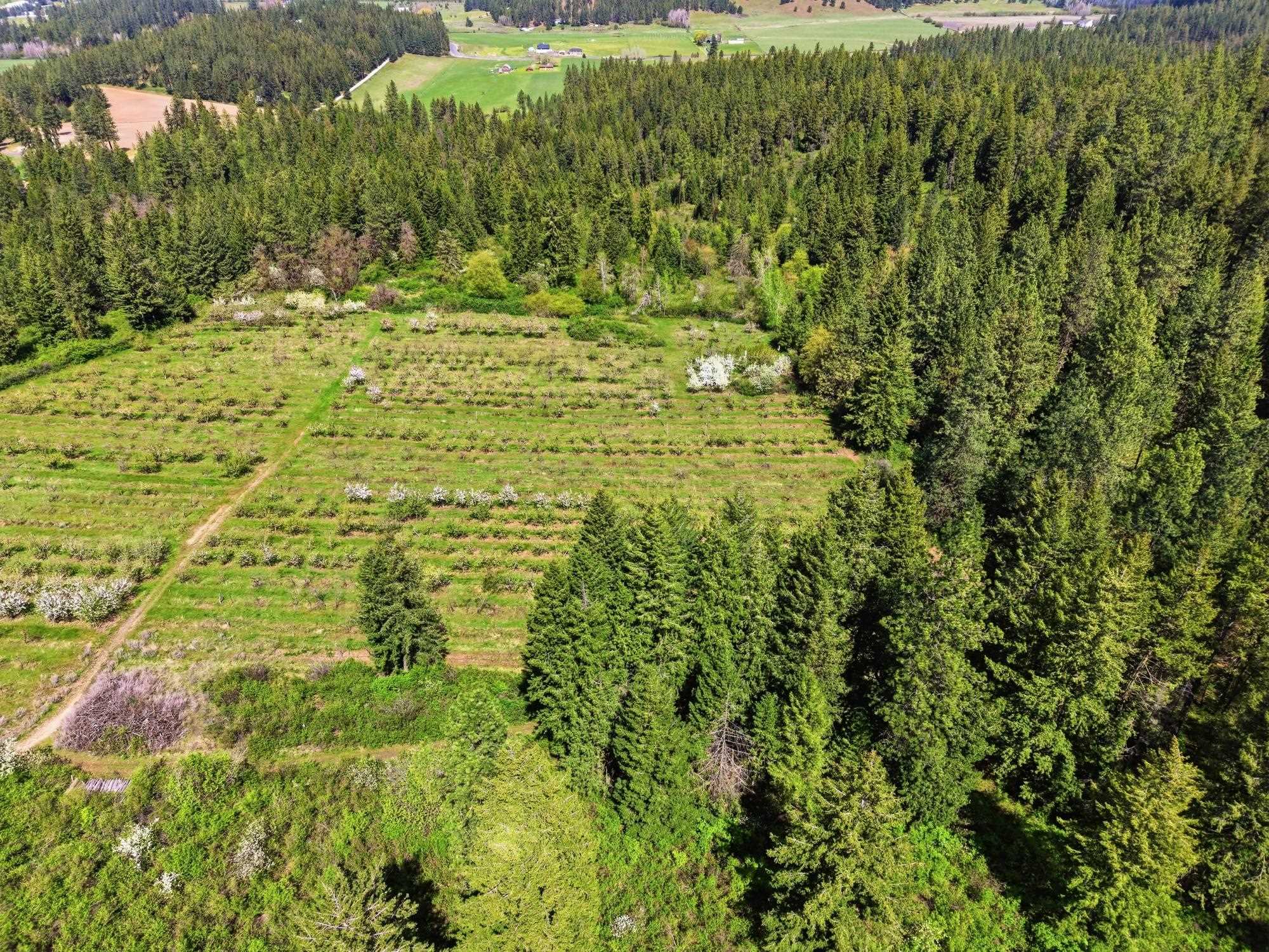 Xxxx East Woolard Road Colbert, WA 99005 - Photo 10 of 27