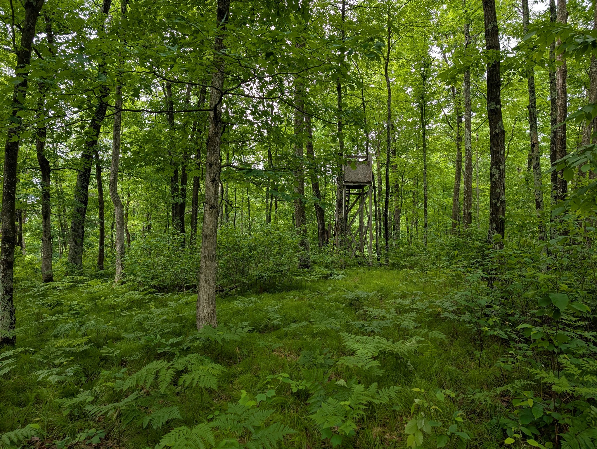 N131 Dalen Road Birchwood, WI 54817 - Photo 51 of 53