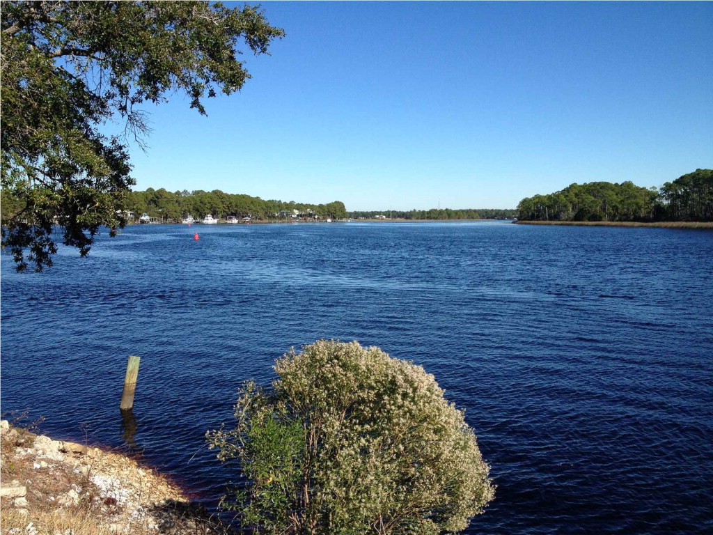 325 River Road Carrabelle, FL 32322 - Photo 15 of 23 Gallery Image 15