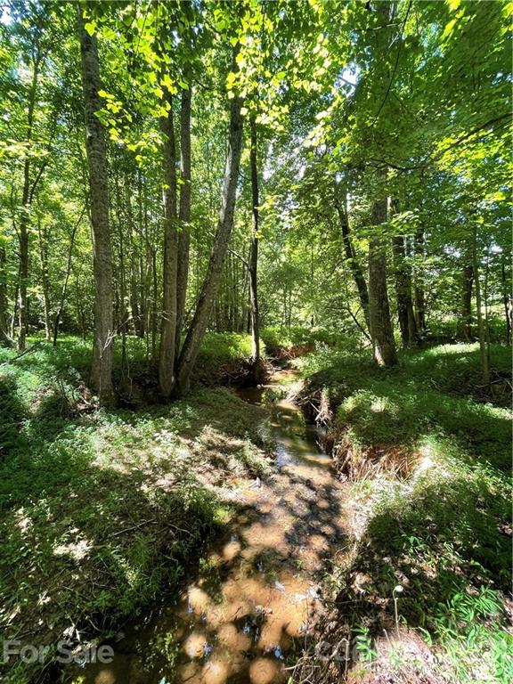 0 Warlick Road Lawndale, NC 28090 - Photo 12 of 29 Gallery Image 12