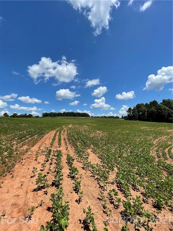 0 Warlick Road Lawndale, NC 28090 - Photo 13 of 29 Gallery Image 13