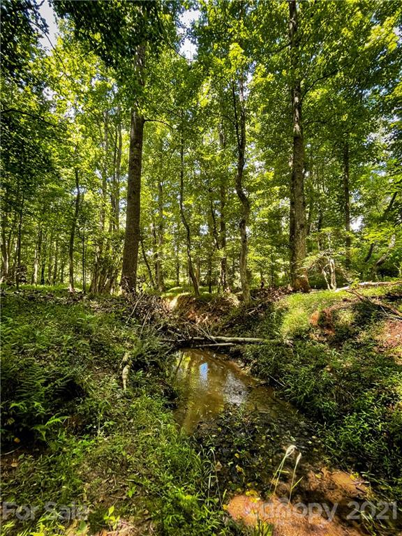 0 Warlick Road Lawndale, NC 28090 - Photo 15 of 29 Gallery Image 15