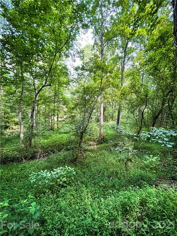 0 Warlick Road Lawndale, NC 28090 - Photo 19 of 29 Gallery Image 19