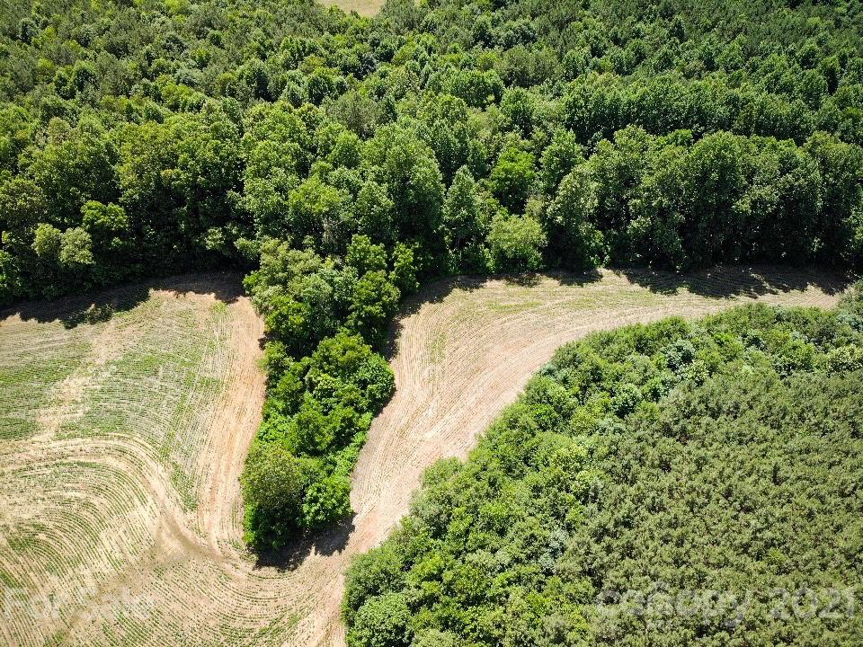 0 Warlick Road Lawndale, NC 28090 - Photo 9 of 29 Gallery Image 9