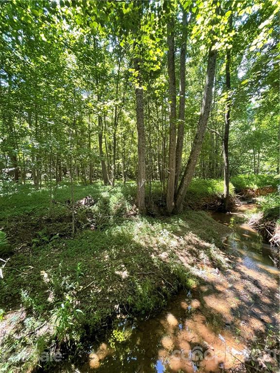 0 Warlick Road Lawndale, NC 28090 - Photo 10 of 29 Gallery Image 10