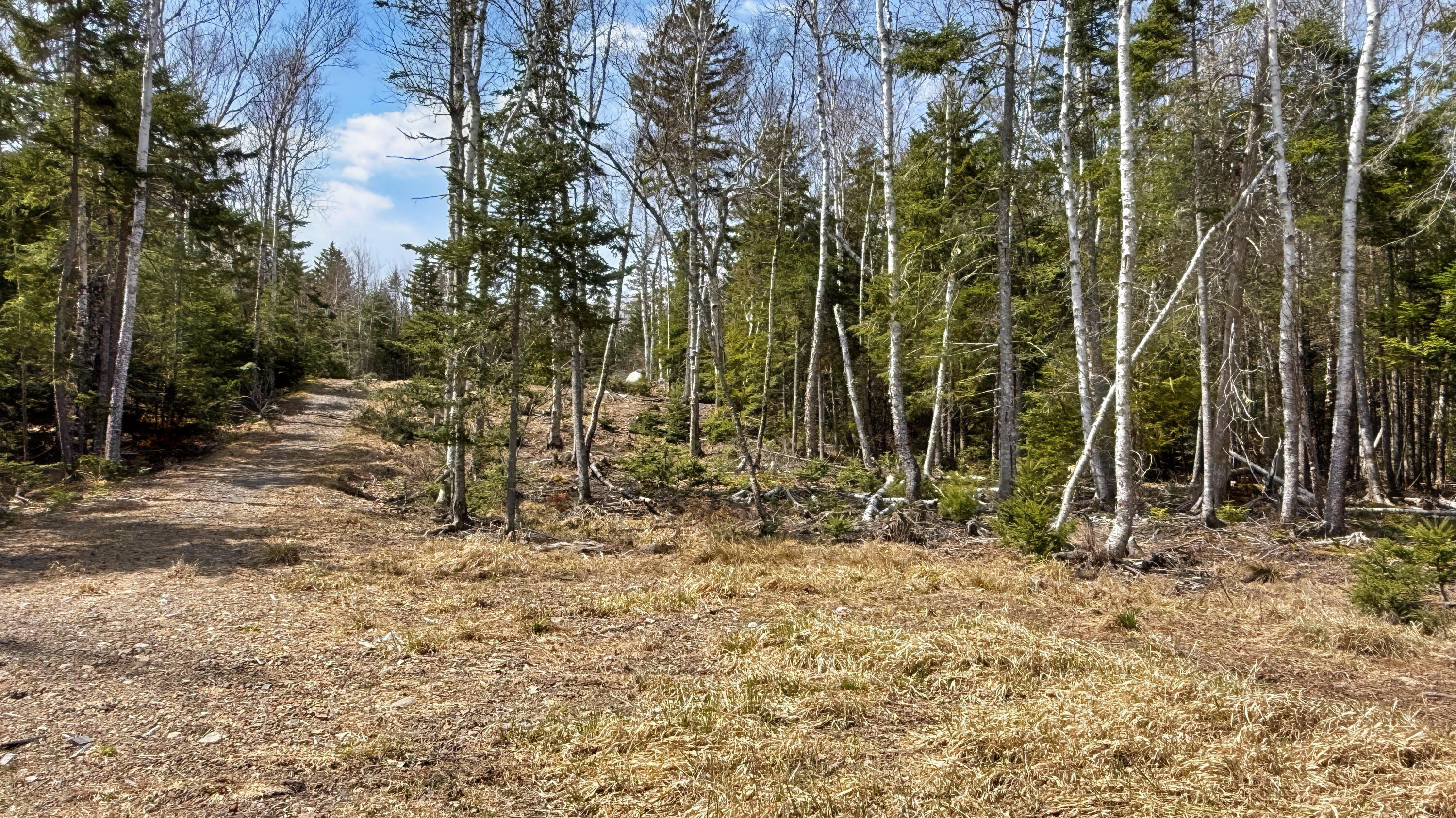 185 Coffins Neck Road Lubec, ME 04652 - Photo 10 of 14