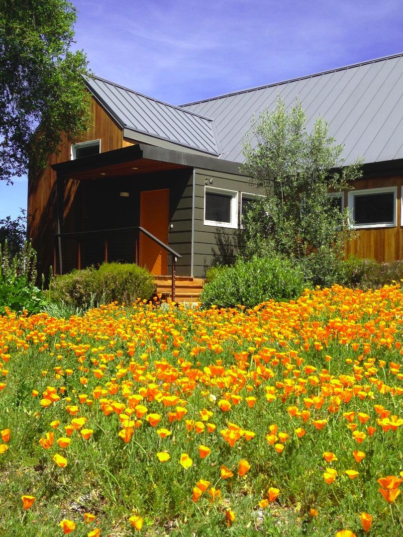 214 Swett Road Woodside, CA 94062 - Photo 1 of 67 a backyard of a house