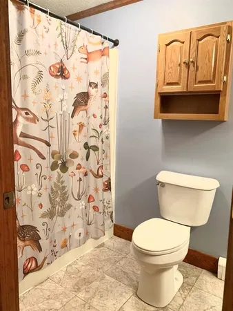 a white toilet sitting next to a shower curtain