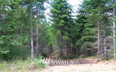 G3 East Rasor Road Belfair, WA 98528 - Photo 1 of 1 Gallery Image 1