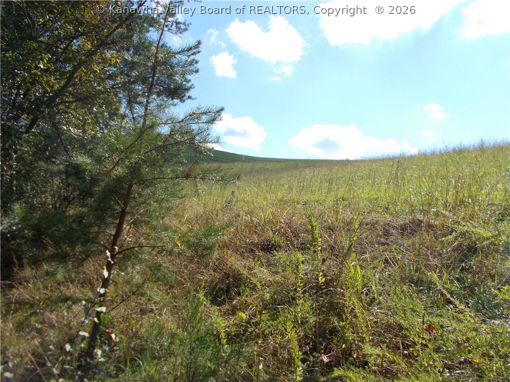0 Mud Lick Road Liberty, WV 25124 - Photo 13 of 30 Gallery Image 13