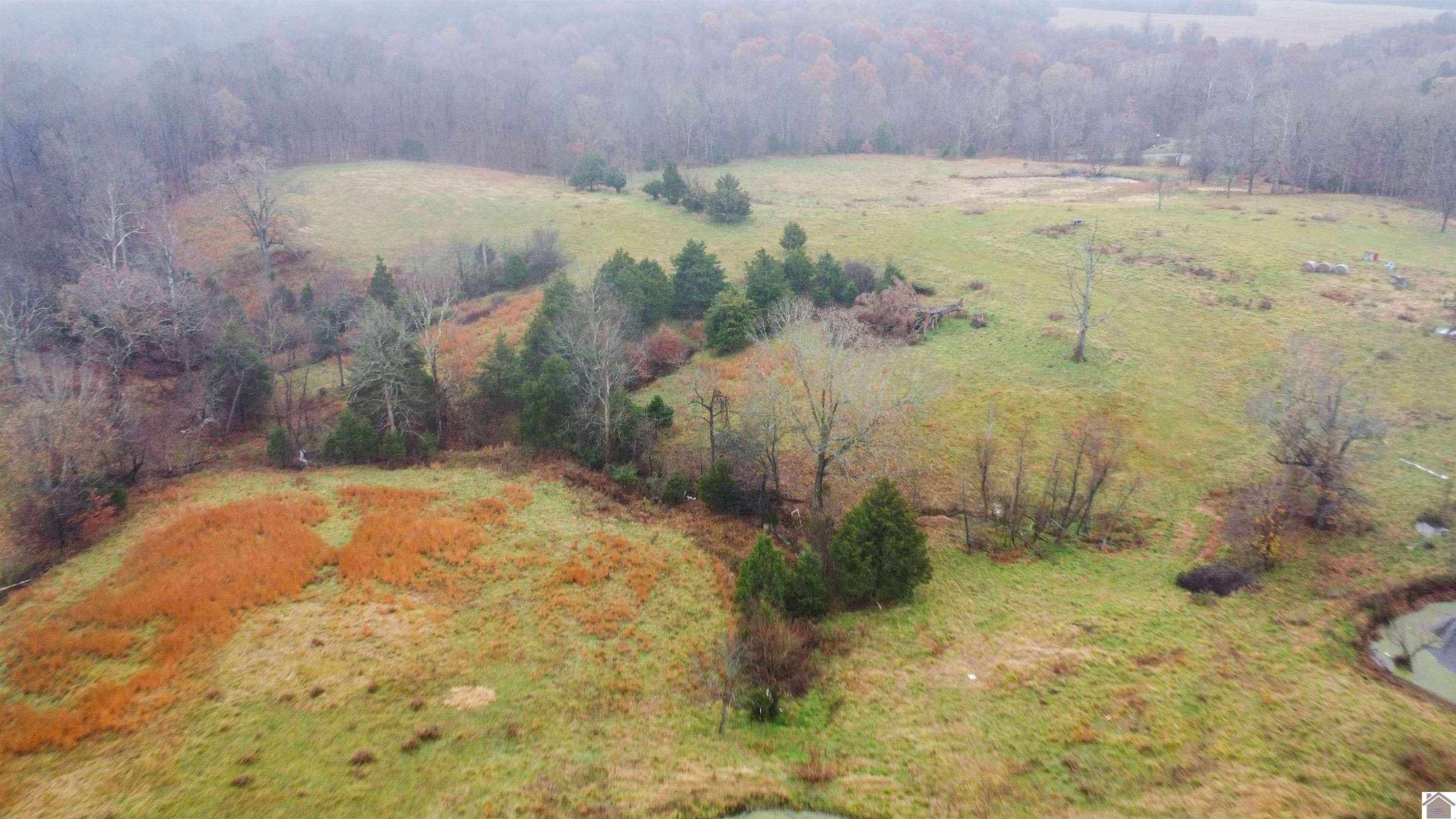2820 Curd Road Benton, KY 42025 - Photo 18 of 34 Photo 18